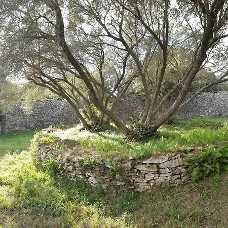 Casa Parmentile Bonifacio (Corsica)